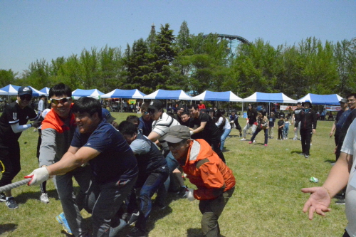 cf034f683fdc303e43f88328711c9be4_1525244