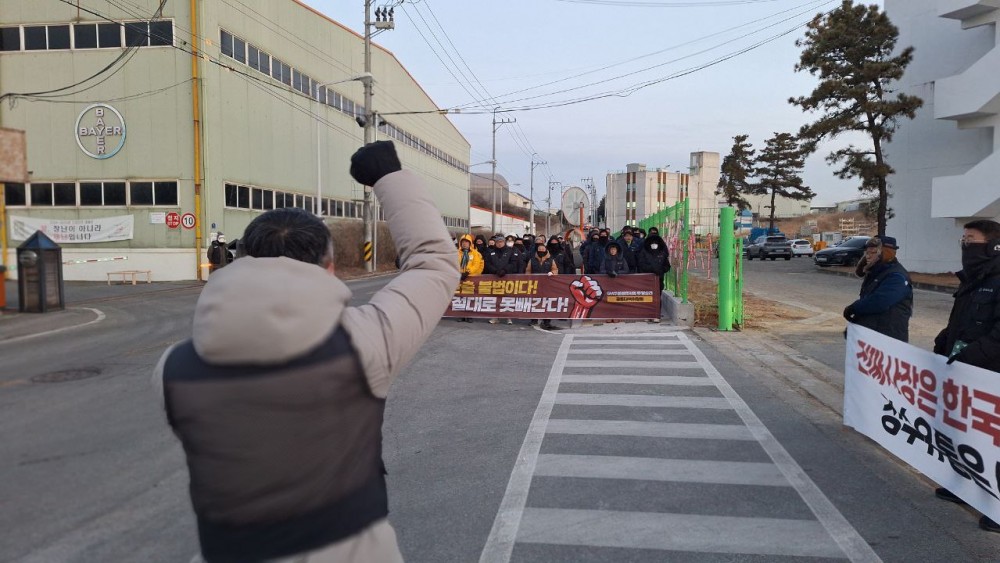 b06b4fce79bea98087ed230ea31b97f2_1768996