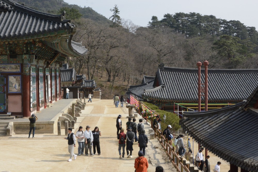 37482d494ee2c4e1856142a9b9ad5524_1774855